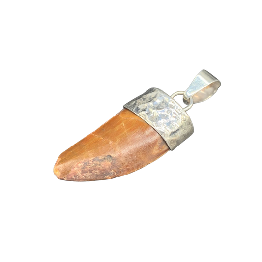 Carcharodontosaurus Tooth Pendant | 1 1/3" | Sterling Silver | 100% Authentic