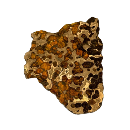 Brenham Pallasite Slice 98 grams