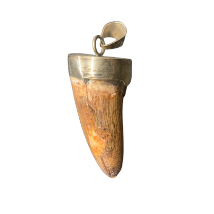 Spinosaurus Tooth Pendant | 2" | Sterling Silver | 100% Authentic