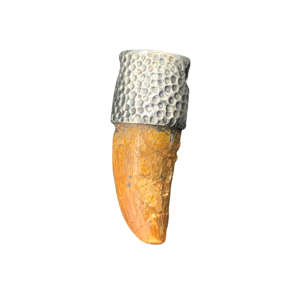 Carcharodontosaurus Tooth Pendant | 1.5" | Sterling Silver | 100% Authentic