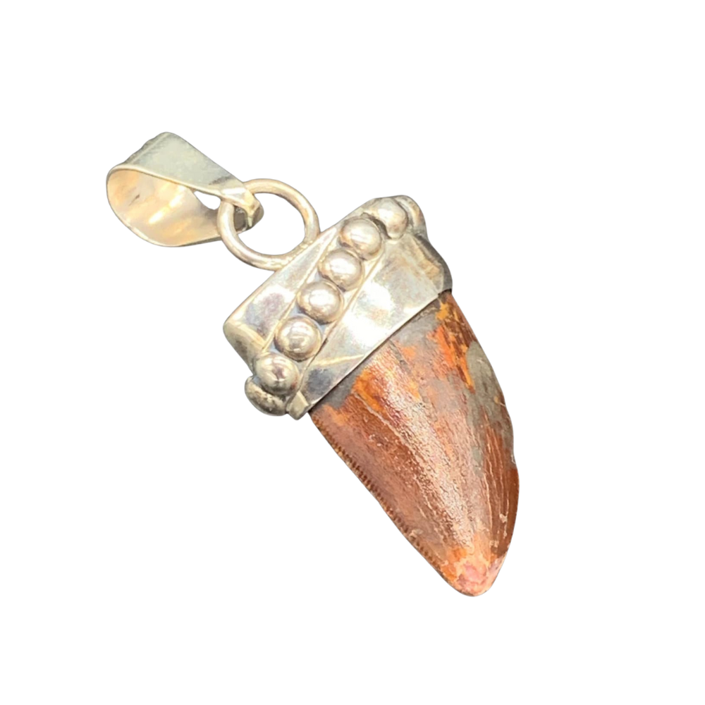 Carcharodontosaurus Tooth Pendant | Sterling Silver | 100% Authentic