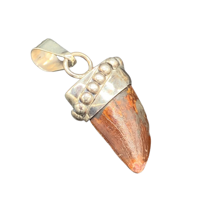 Carcharodontosaurus Tooth Pendant | Sterling Silver | 100% Authentic