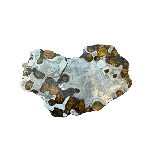 Brenham Pallasite Slice 40 grams in stand