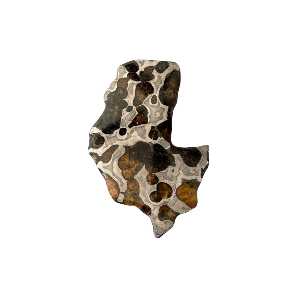 Brenham Pallasite Slice 27 grams in stand