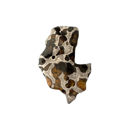 Brenham Pallasite Slice 27 grams in stand