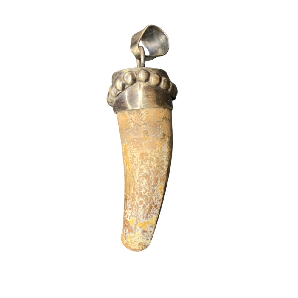 Spinosaurus Tooth Pendant | 2" | Sterling Silver | 100% Authentic