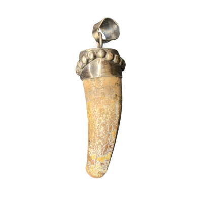 Spinosaurus Tooth Pendant | 2" | Sterling Silver | 100% Authentic