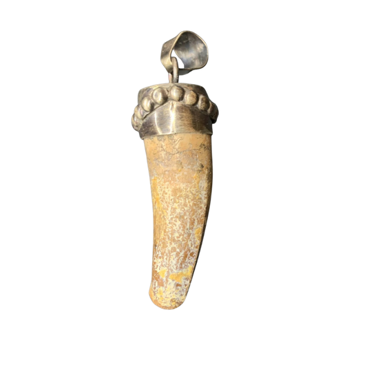 Spinosaurus Tooth Pendant | 2" | Sterling Silver | 100% Authentic