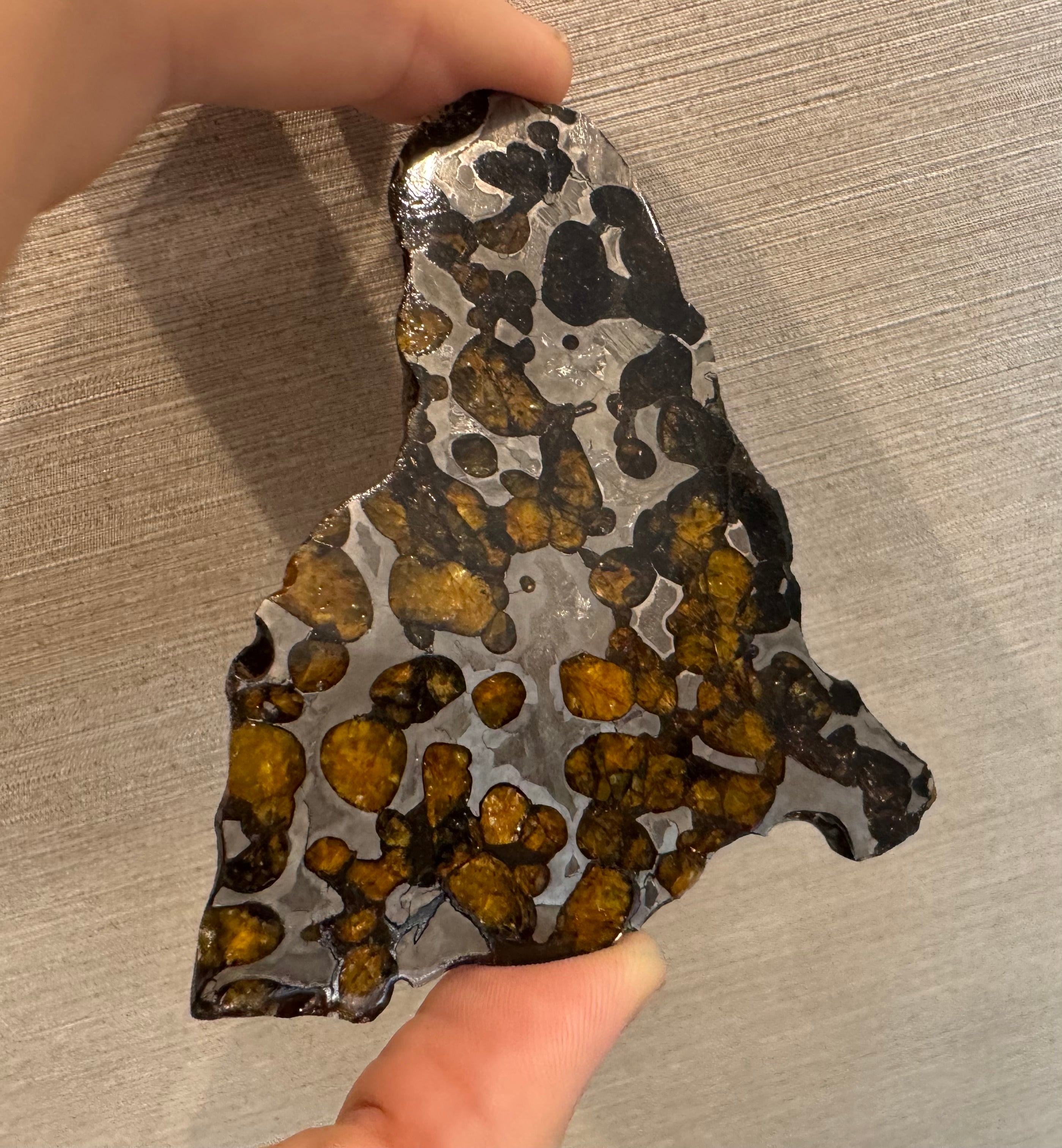 Brenham Pallasite Slice 58 grams – Jurassic Gallery