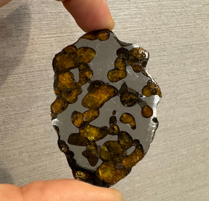 Brenham Pallasite Slice 29 grams in stand