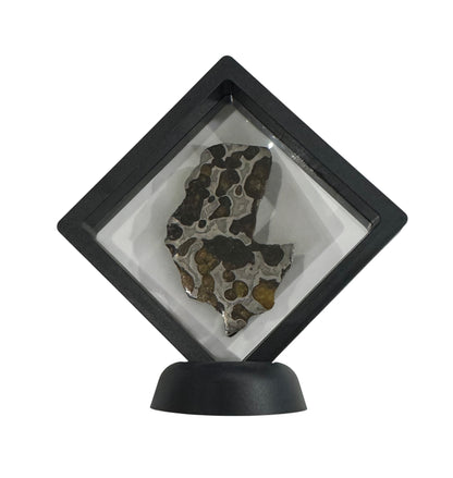 Brenham Pallasite Slice 27 grams in stand
