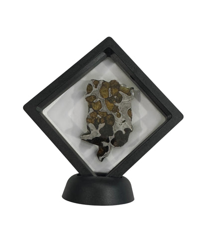 Brenham Pallasite Slice 25 grams in stand