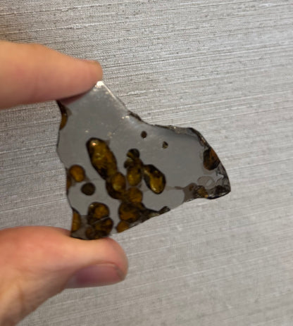 Brenham Pallasite Slice 15 grams in stand