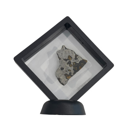 Brenham Pallasite Slice 15 grams in stand