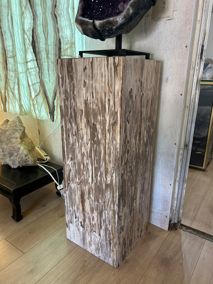 Petrified Wood Art Pedestal