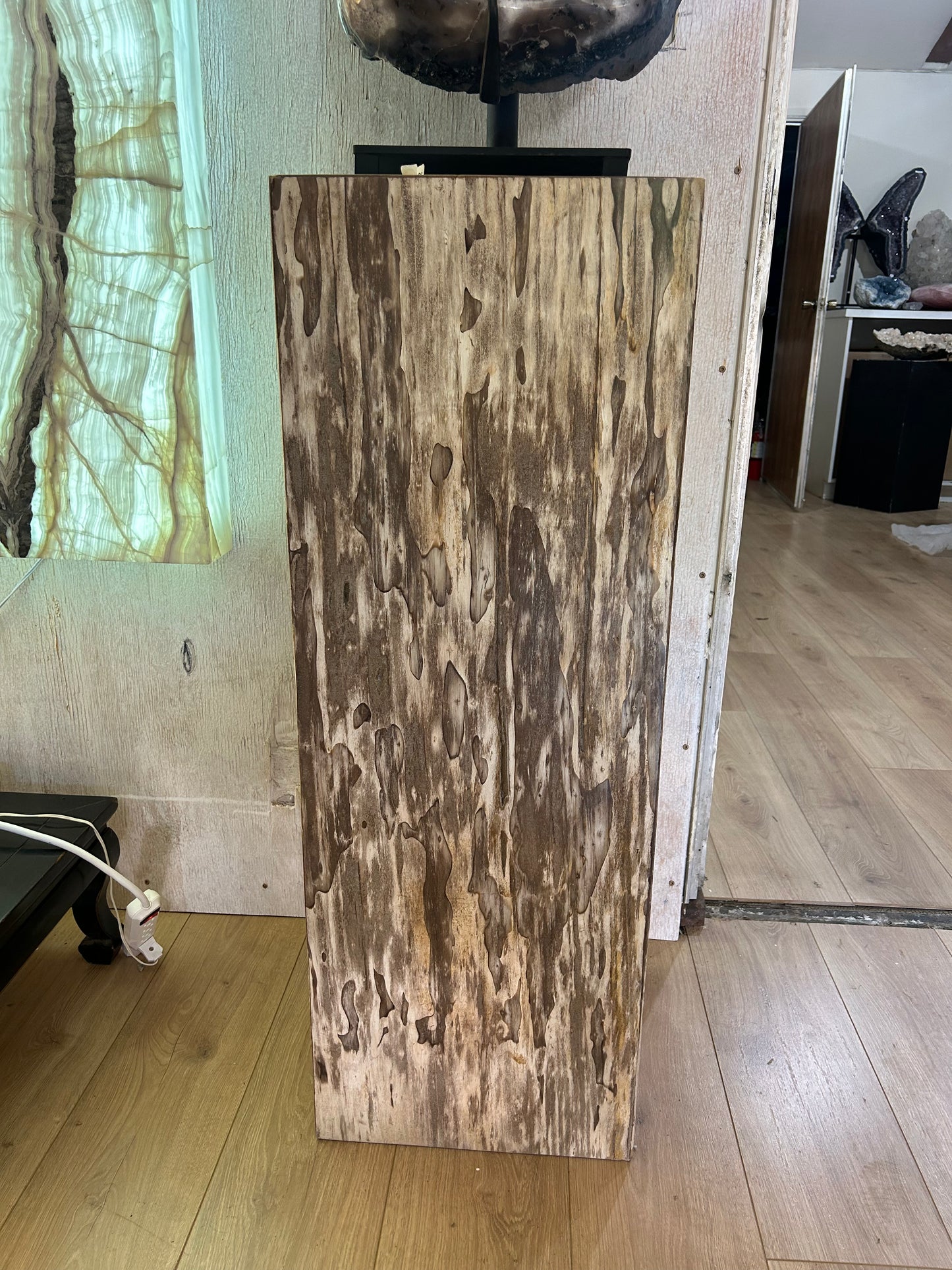 Petrified Wood Art Pedestal