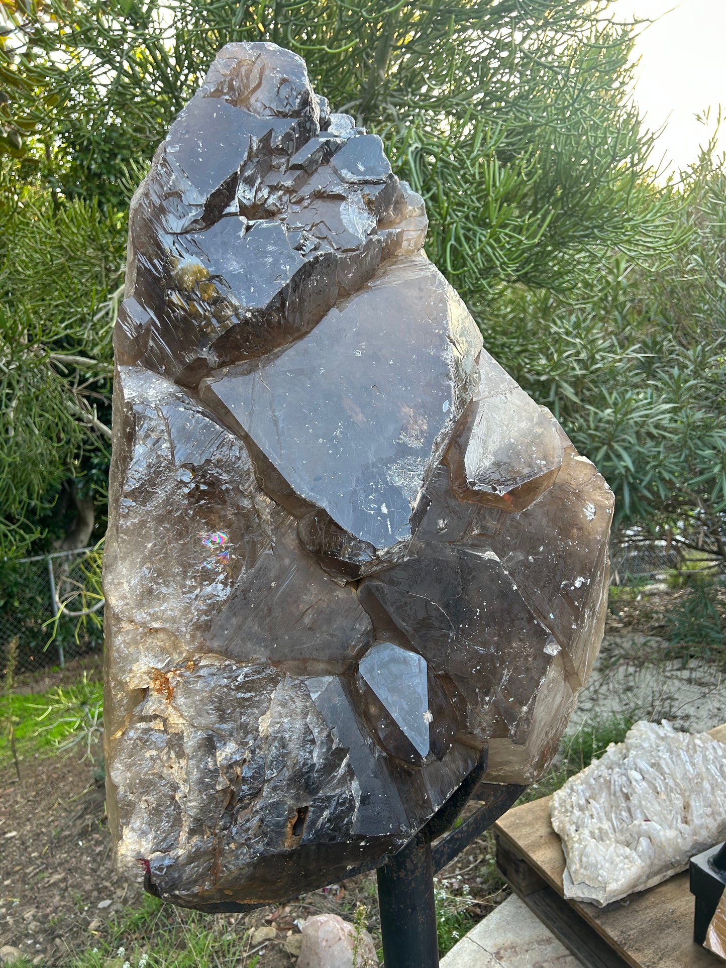 Smokey Quartz on Custom Stand