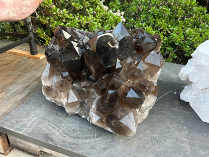 Large Smokey Quartz Cluster