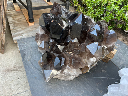 Large Smokey Quartz Cluster