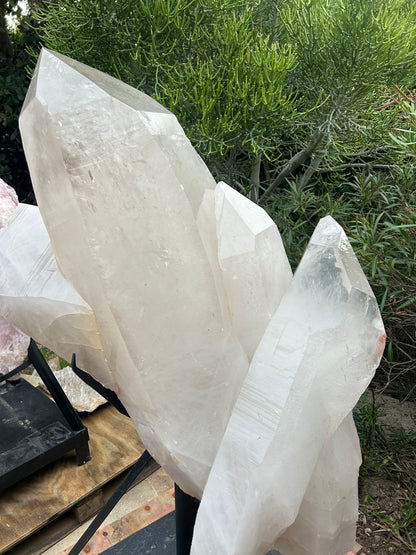 Massive Quartz Point Group on Stand