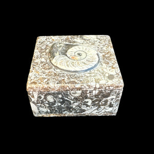 Ammonite Square Vanity Box