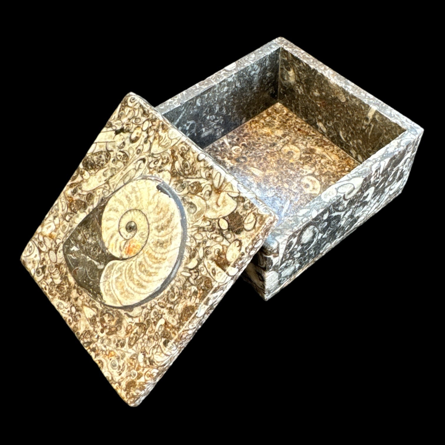 Ammonite Square Vanity Box