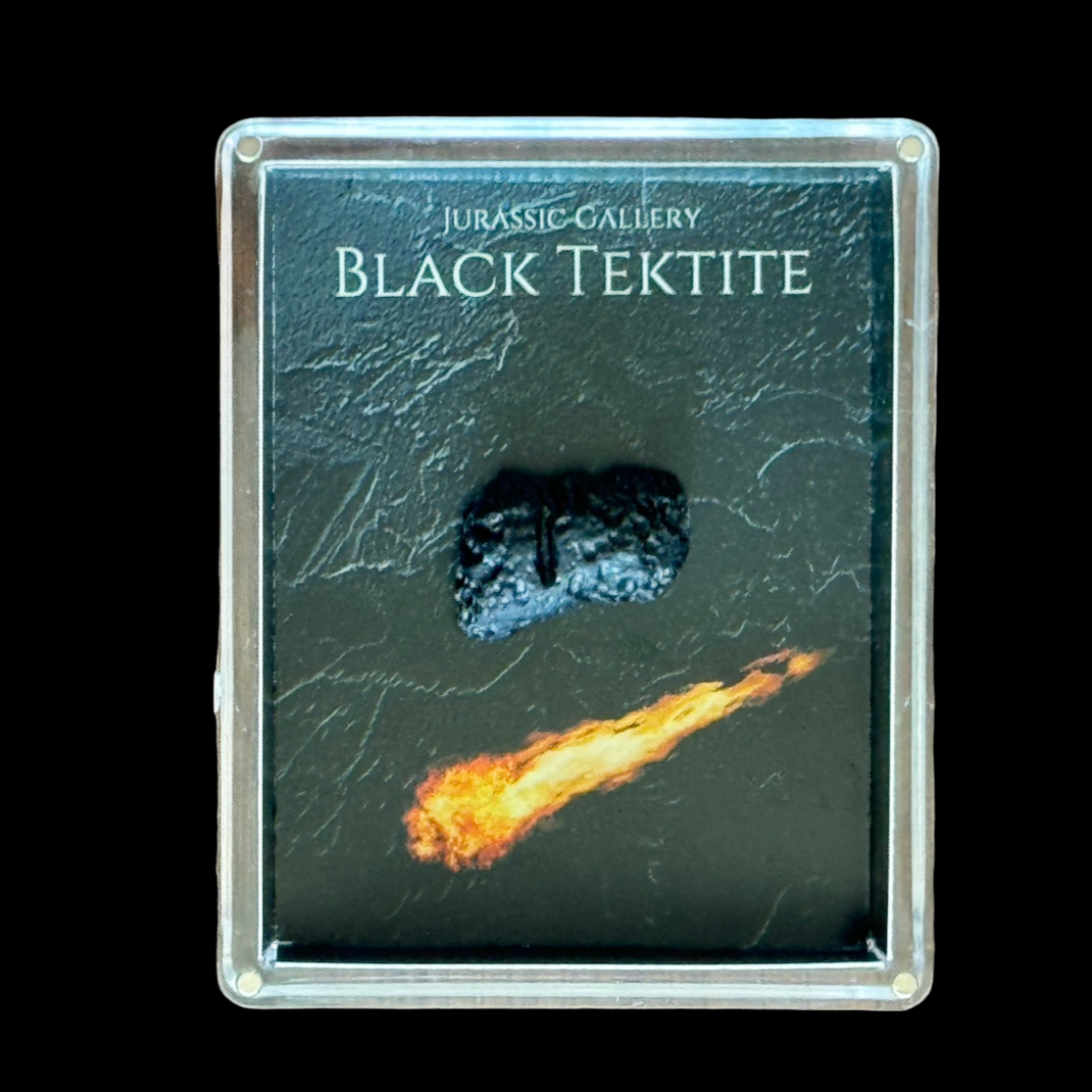 Tektite Gift Box