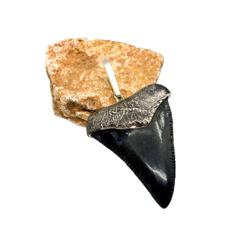 Oxidized silver medium Megalodon tooth pendent