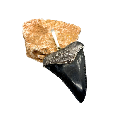 Oxidized silver medium Megalodon tooth pendent