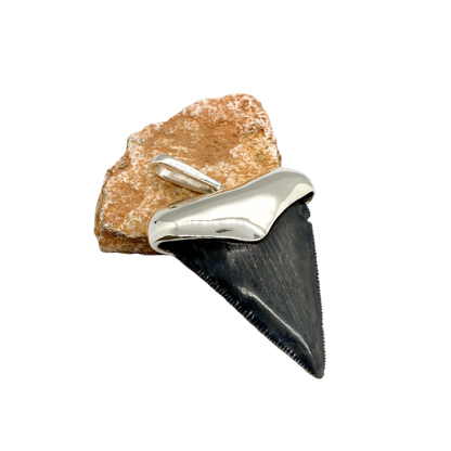 Megalodon tooth steeling silver pendent