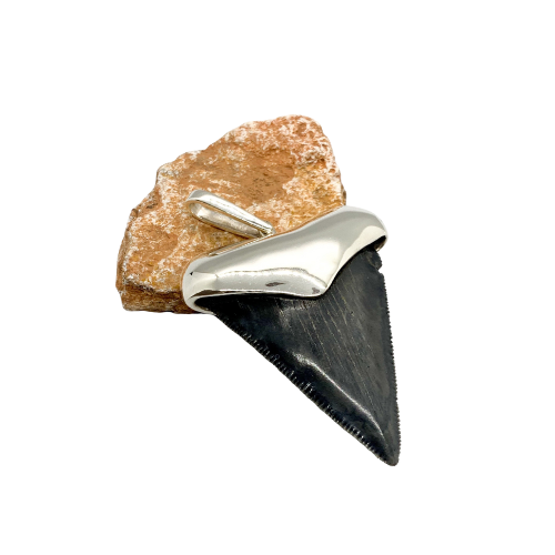 Megalodon tooth steeling silver pendent