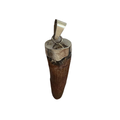 Spinosaurus Tooth Pendant | Sterling Silver | 100% Authentic