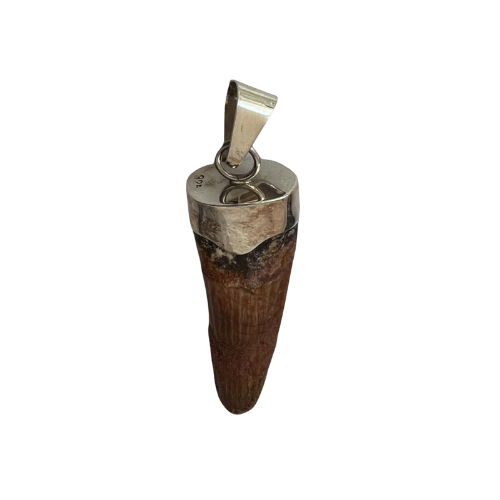 Spinosaurus Tooth Pendant | Sterling Silver | 100% Authentic