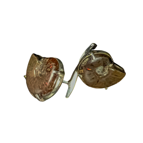 Iridescent fossil Ammonites cuff links pair