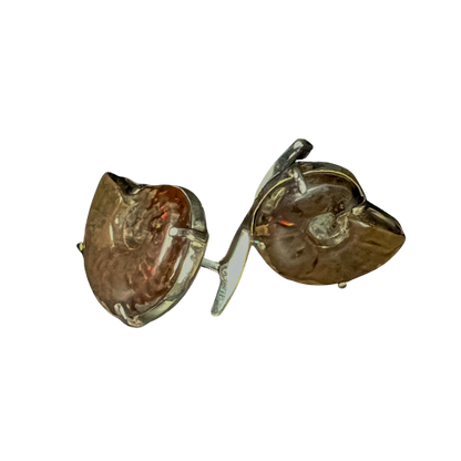 Iridescent fossil Ammonites cuff links pair