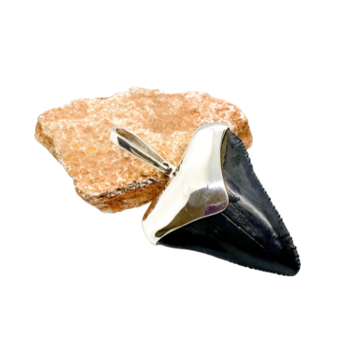 Megalodon tooth sterling silver pendant