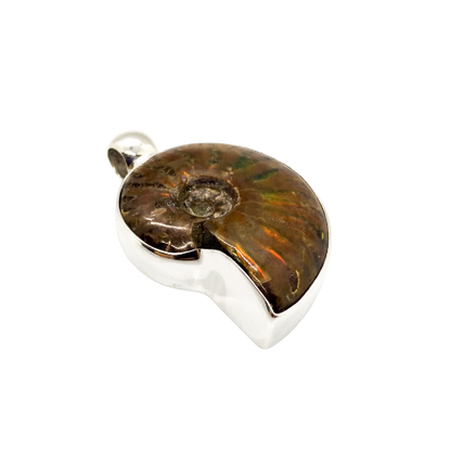 Ammonite pendant in sterling chrome silver