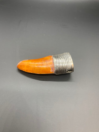 Carcharodontosaurus Tooth Pendant | Sterling Silver | 100% Authentic