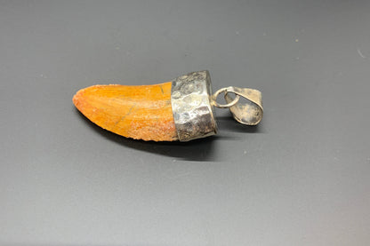 Carcharodontosaurus Tooth Pendant | 1.5" | Sterling Silver | 100% Authentic
