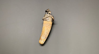 Spinosaurus Tooth Pendant | 2" | Sterling Silver | 100% Authentic