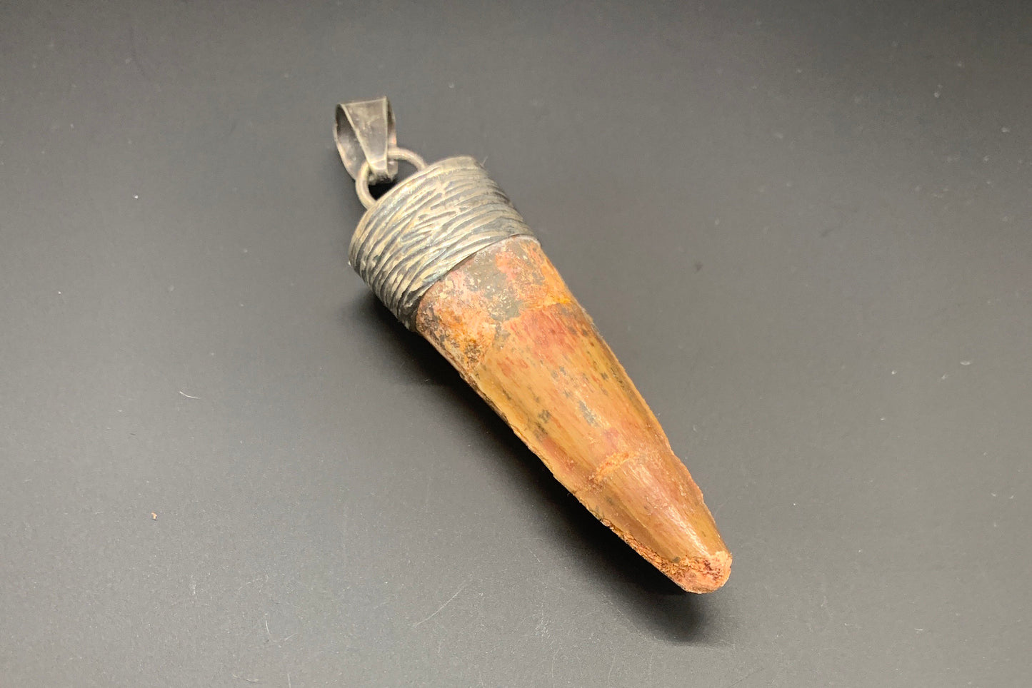 Spinosaurus Tooth Pendant | 2" | Sterling Silver | 100% Authentic