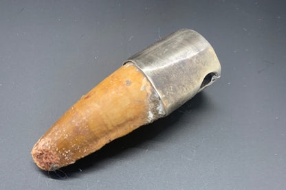 Spinosaurus Tooth Pendant | 2" | Sterling Silver | 100% Authentic