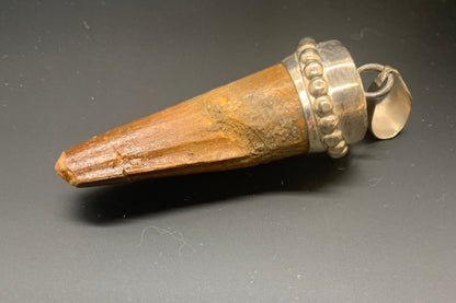 Spinosaurus Tooth Pendant | 2 1/4” | Sterling Silver | 100% Authentic