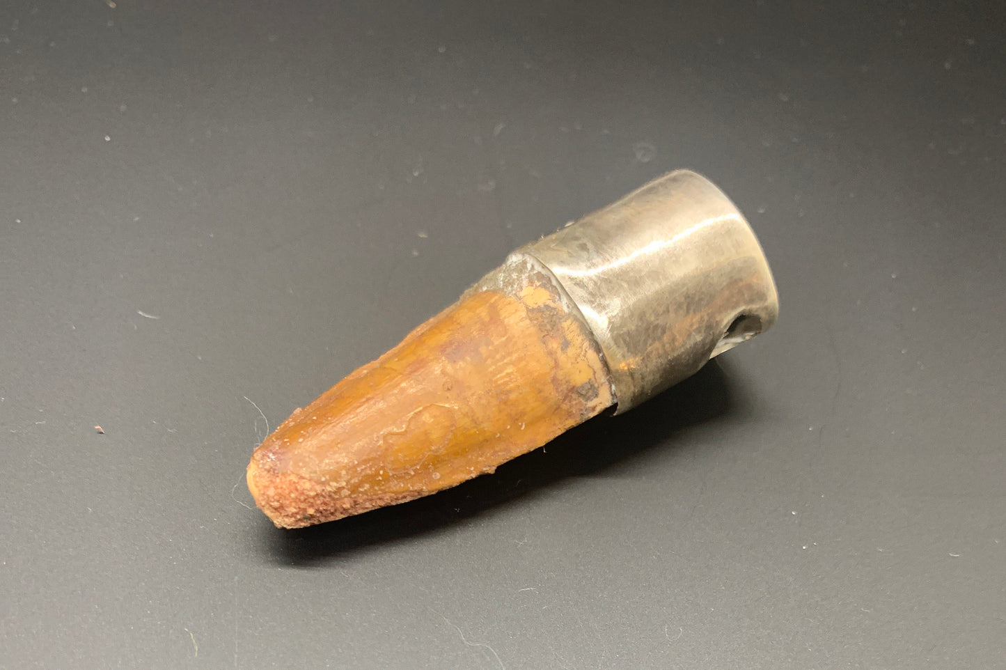 Spinosaurus Tooth Pendant | 2" | Sterling Silver | 100% Authentic