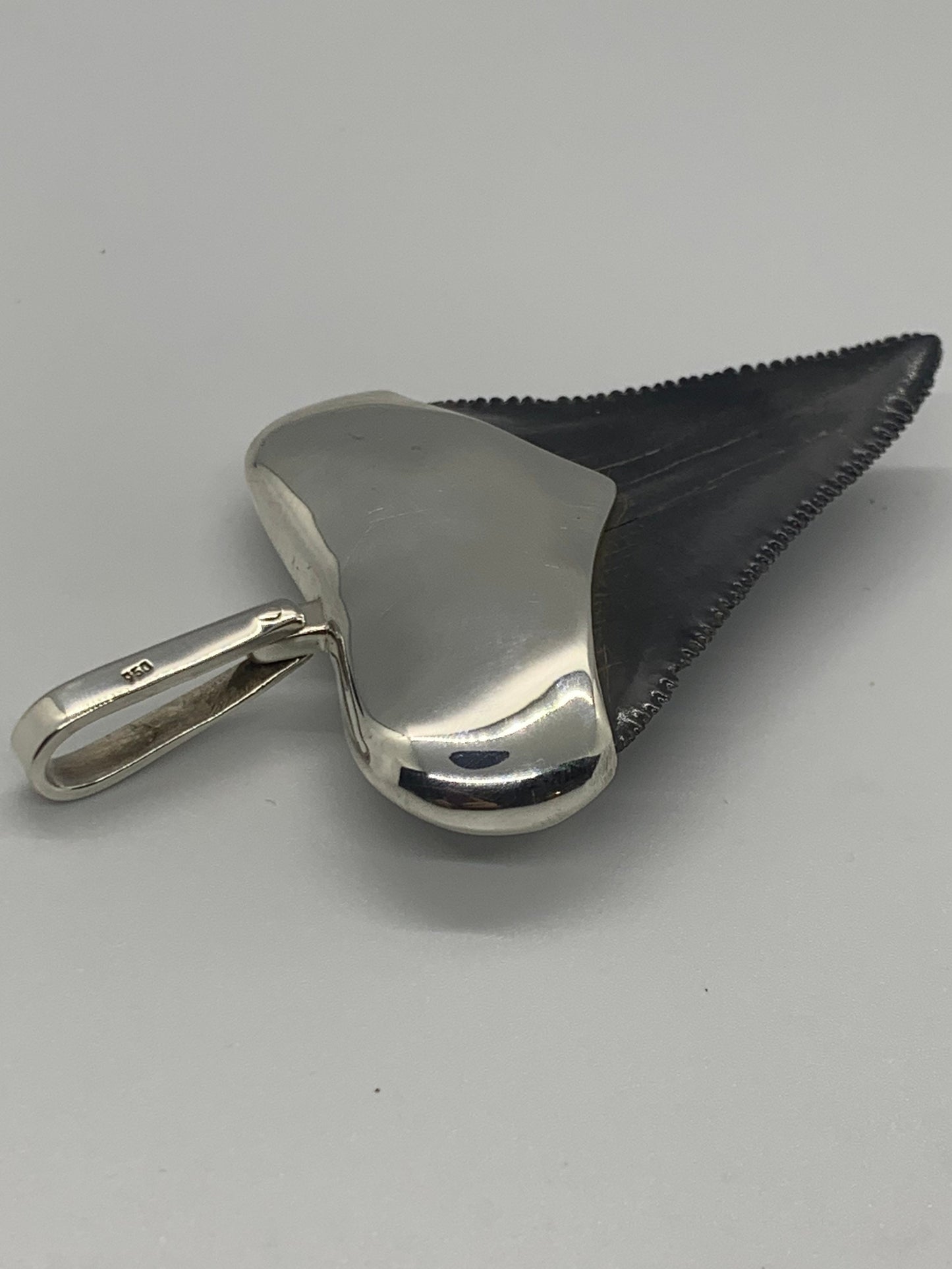 Sterling Cromo Silver Megalodon tooth pendent