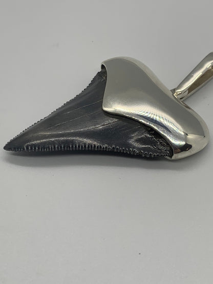 Sterling Cromo Silver Megalodon tooth pendent