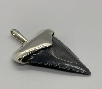 Megalodon tooth steeling silver pendent