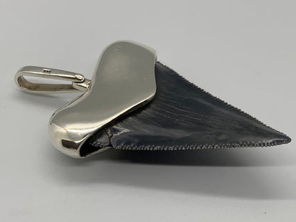 Megalodon tooth steeling silver pendent
