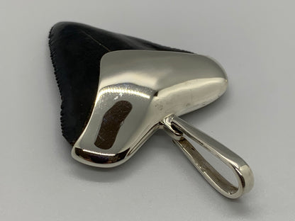 Megalodon tooth sterling silver pendant