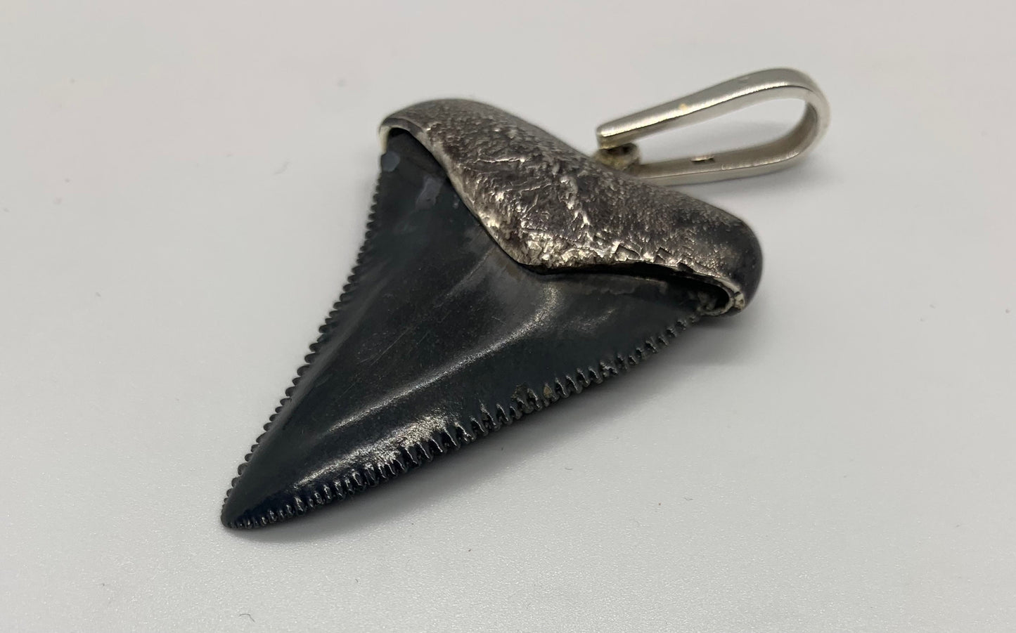 Oxidized silver medium Megalodon tooth pendent